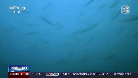 中国·1277星际电子游戏(股份有限公司)-Official website